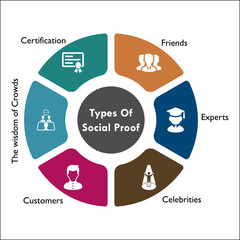 Types of social proofs with icons in an infographic template