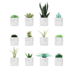 SET OF succulent plants in a marble pot isolated on white, 3d rendering of succulent PNG transparent, architecture visualization, gardening design archiviz