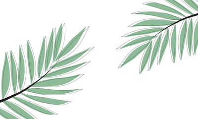 Stroke palm leaves vector illustration isolated on white background