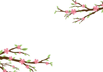 Cherry blossom branch with blooming. Isolated on white background. Design for wedding or greeting cards, save the date