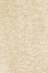 Old Paper texture. vintage paper background or texture; brown paper texture