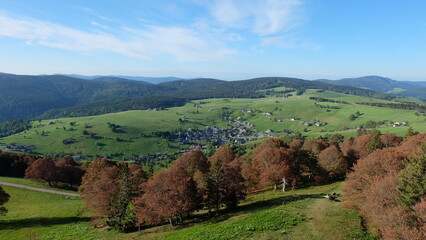 Fototapeta na wymiar Schwarzwald Schauinsland 