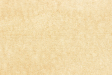 Old Paper texture. vintage paper background or texture; brown paper texture