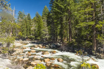Selbstklebende Fototapeten Wild Merced river in the Yosemite National Park © Fyle