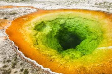 Foto op Plexiglas Morning glory pool in Yellowstone in the USA © Fyle