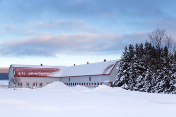 Large light grey L-shaped barn with red-trimmed windows and door, and pitched red metal roof seen in snowy rural farmland during beautiful sunrise, Quebec City, Quebec, Canada 