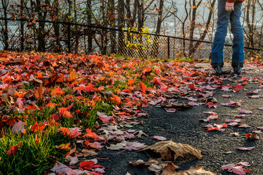 A girl rollerblades in the leaves at Pittsburgh PA. during the fall