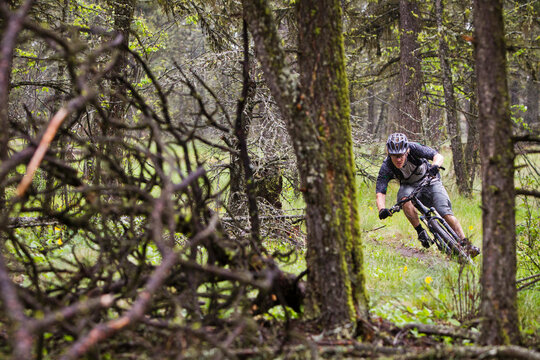 Mountain biker corners on singletrack trail, with dead tree in foreground, Kamloops, BC