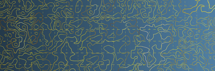 Topographic map background. Linear map. Vector Image 