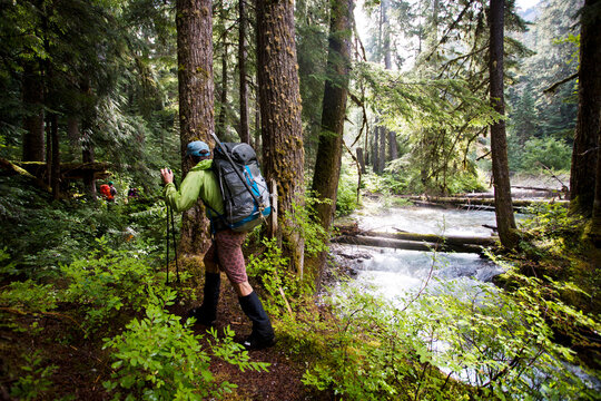 Hikers ascend a trail in a thick, green forest en route to Mt. Redoubt in Washington's North Cascades National Park.