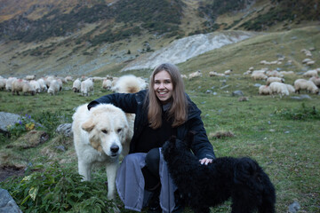 a smiling girl hugs a white and black dog in the mountains against the background of a flock of...