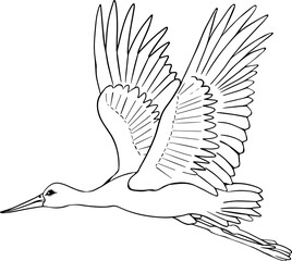 Crane. Vector sketch of hand drawn bird. Linear animals art. 