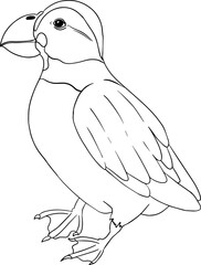 Puffin. Vector sketch of hand drawn bird. Linear animals art. 