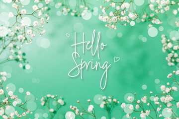 Spring card with Branches of blossoming white gypsophila flowers on green background with bokeh effect and inscription Hello Spring. Spring time concept. Soft focus
