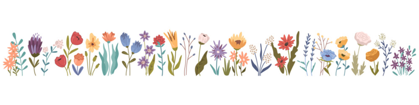 Blooming flowers in row, spring and summer wildflowers and plants with foliage and leaves isolated icons set. Tulips and roses, daisies and peonies. Vector in flat style