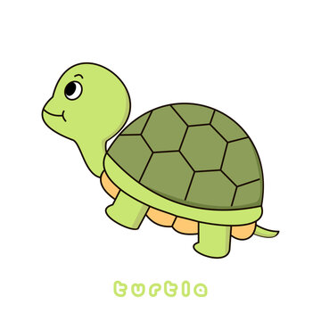 Vector illustration of cute turtle cartoon isolated on white background