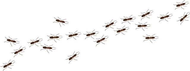 Ant trail line in cartoon style isolated on white background