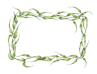 Fototapeta premium Watercolor hand painted banner with green leaves and branches. Spring or summer flowers for invitation, wedding or greeting cards. Green leaves wreath.