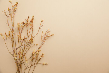 top view composition of romantic dried flowers on a pastel beige background