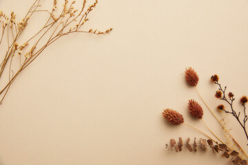 top view composition of romantic dried flowers on a pastel beige background