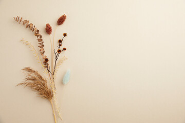 concept of autumn with dried flowers and pastel background. top view, flat lay, and copy space