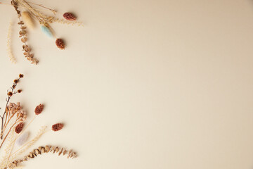 concept of autumn with dried flowers and pastel background. top view, flat lay, and copy space