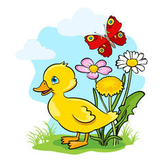 Obraz na płótnie Canvas Cartoon little duck with grass, flowers, butterfly, sky, clouds. Happy yellow duckling vector illustration