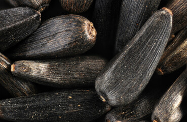 nyjer seeds in extreme close up,photographed using a light microscope with reflected light.