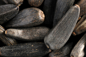 nyjer seeds in extreme close up,photographed using a light microscope with reflected light.
