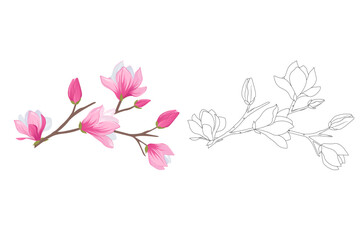 Magnolia flowers coloring book