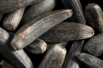 nyjer seeds in extreme close up,photographed using a light microscope with reflected light.