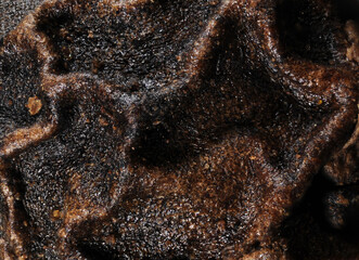 A single peppercorn in extreme close up showing the texture on the surface