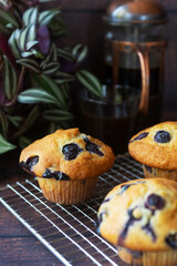 freshly baked homemade blueberry muffins on wooden table background.