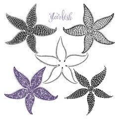 Fototapeta na wymiar Starfish. Hand drawn vector illustration, 5 isolated elements on white background. Perfect for menu decoration, invitation, card, poster and as a design element.