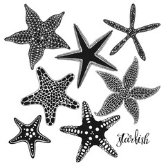 Starfish. Hand drawn vector collection, 7 isolated  elements on white background. Perfect for menu decoration, invitation, card, poster and as a design element. - 561794131