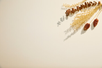 dried flowers and beige background, autumn composition, flat lay, copy space, top view