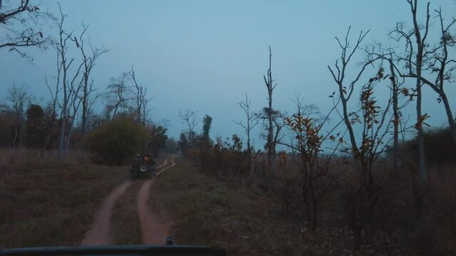 Summer morning safari in Agarzari buffer zone of Tadoba National Park in Maharashtra