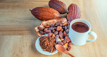 Hot cocoa cup with cocoa powder and cocoa beans on wooden background