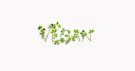 Fresh Lentil Microgreen Sprouts Spelled Out The Word Vegan Motion text Close up White background 2