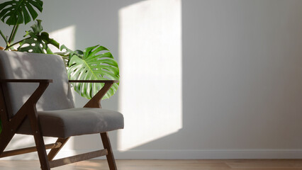 Light minimalistic scandinavian interior. Home plant monstera and grey chair, on background white wall. Copy space