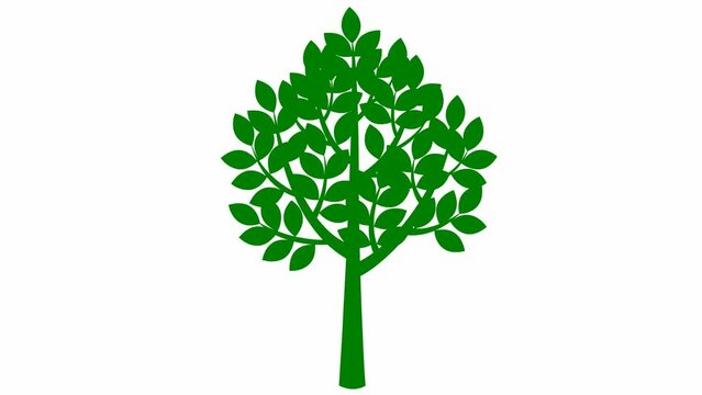 The tree gradually grew, leaves appeared on the branches. The green symbol. Concept of ecology, life. Flat vector illustration isolated on white background.