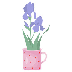 Bouquet flowers purple iris