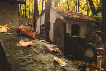 Fallen, autumn leafs in a spider web. Old forgotten graves, tombs in Jewish cemetery in Warsaw, Poland, autumn foliage.	