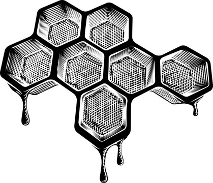 Bee Honeycomb Dripping with Honey Vintage Style