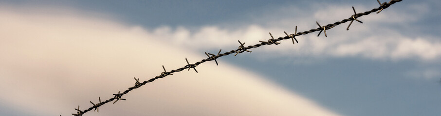 a barbed wire panorama