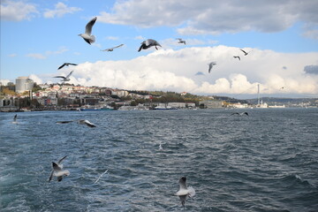 photos of the life in istanbul and amazing views with my professional camera 