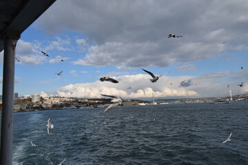photos of the life in istanbul and amazing views with my professional camera 