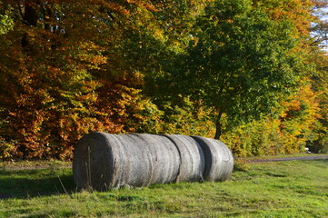 Farm in Autumn in the Heath Lueneburger Heide, Walsrode, Lower Saxony