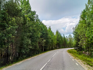 road in the forest , image taken in sweden, scandinavia, , europe
