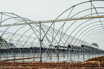 Fototapeta premium Interior of modern hothouse with an advanced system of irrigation and plant care in off-season. Polytunnel and growing system during winter. Selective focus.